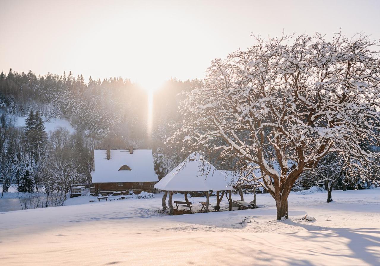 Przystanek Ropienka Lesniczowka Villa Buitenkant foto