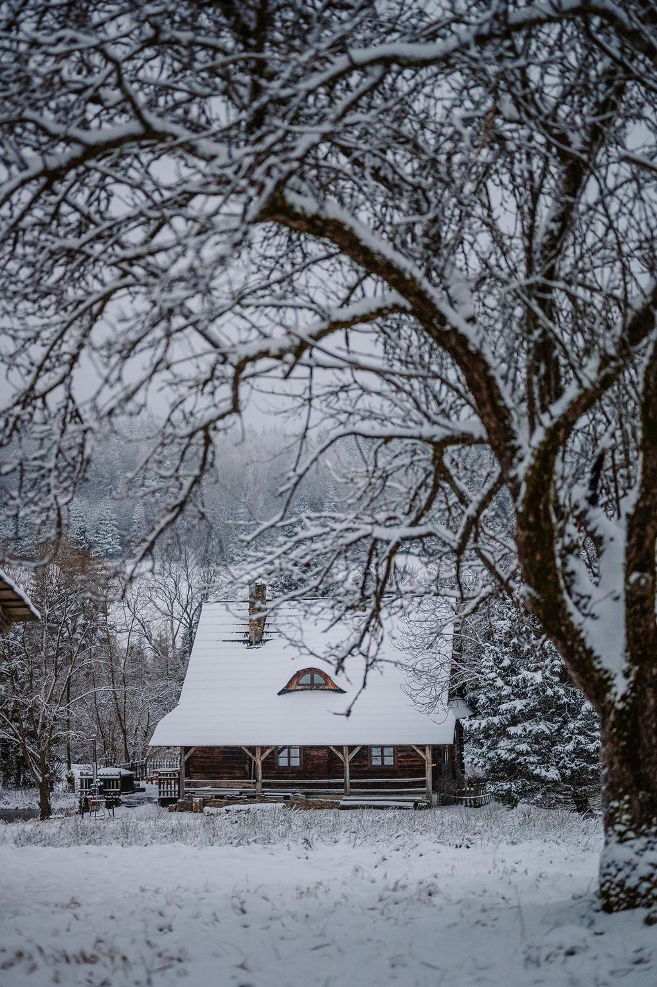 Przystanek Ropienka Lesniczowka Villa Buitenkant foto