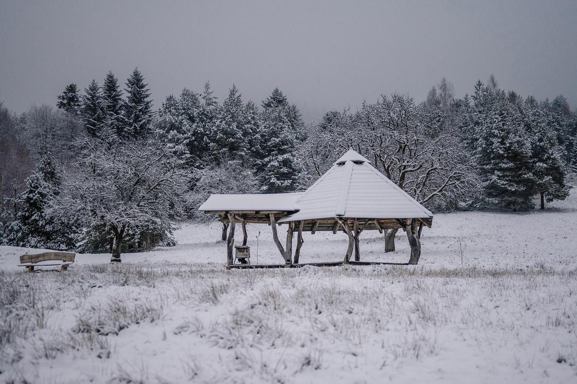 Przystanek Ropienka Lesniczowka Villa Buitenkant foto